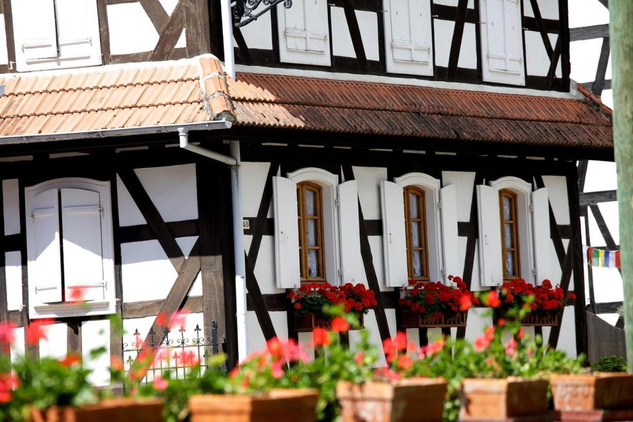 Gites Et Chambres D'Hotes Maison Ungerer Hunspach Eksteriør billede