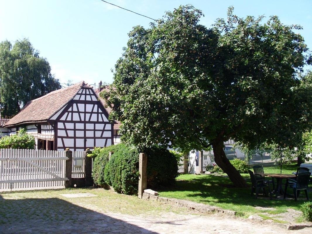Gites Et Chambres D'Hotes Maison Ungerer Hunspach Eksteriør billede