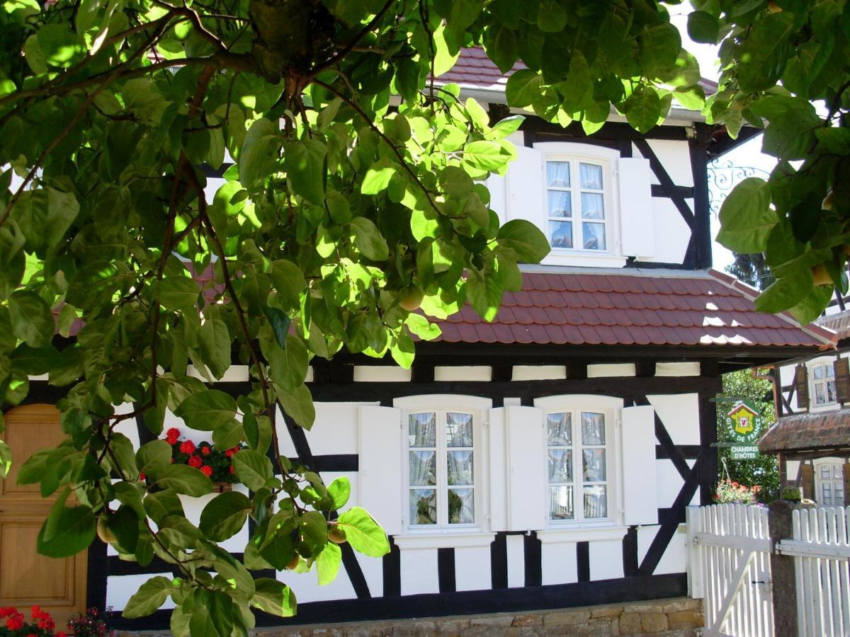 Gites Et Chambres D'Hotes Maison Ungerer Hunspach Eksteriør billede